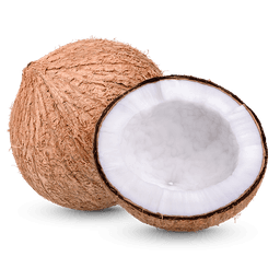 Coconut Medium (Regular) thumbnail 1