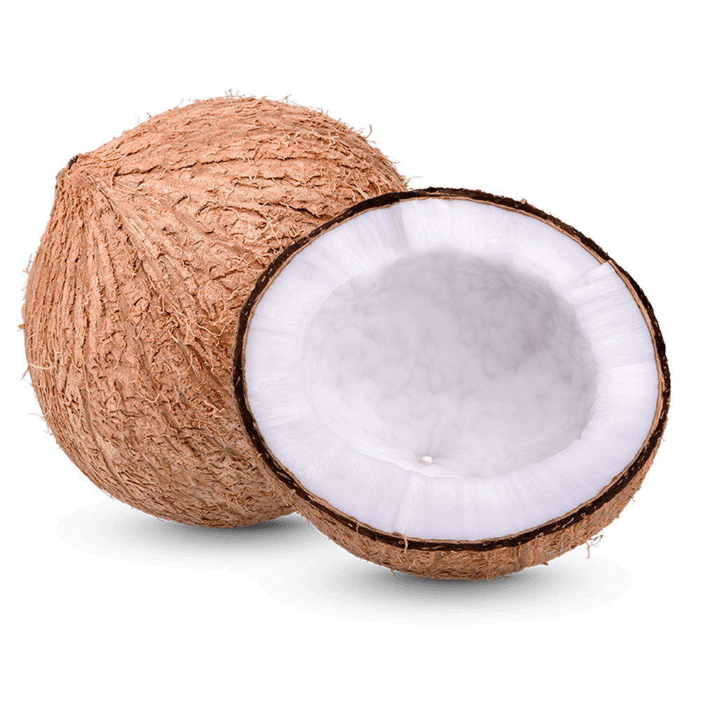 Coconut Medium (Regular) 1