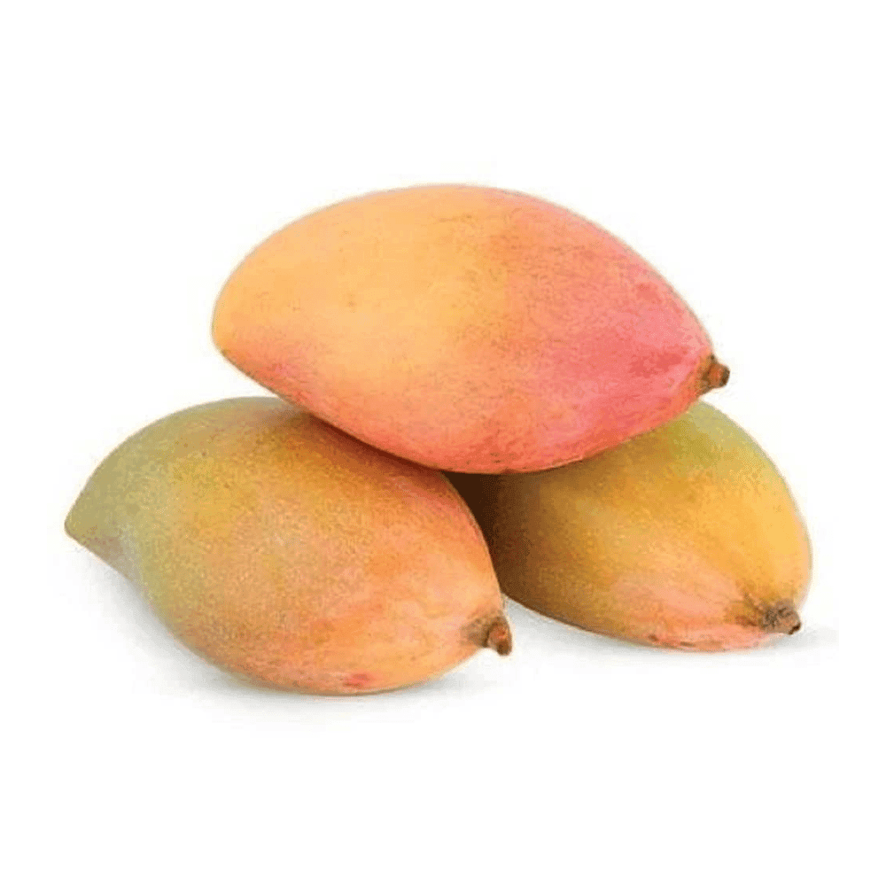 Mango Thothapuri (Aam) 1