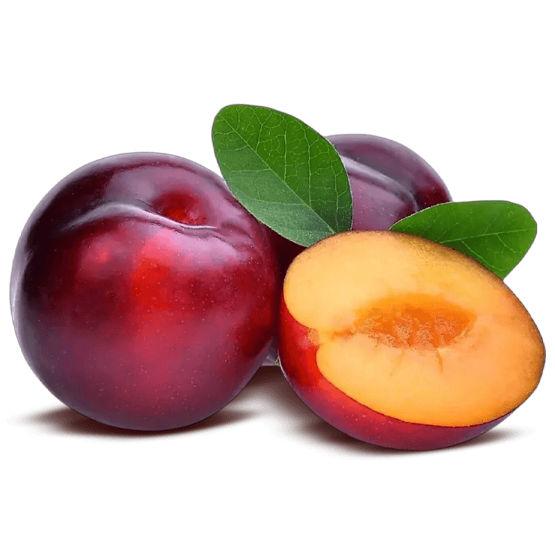 Plum Imported (Premium) 1