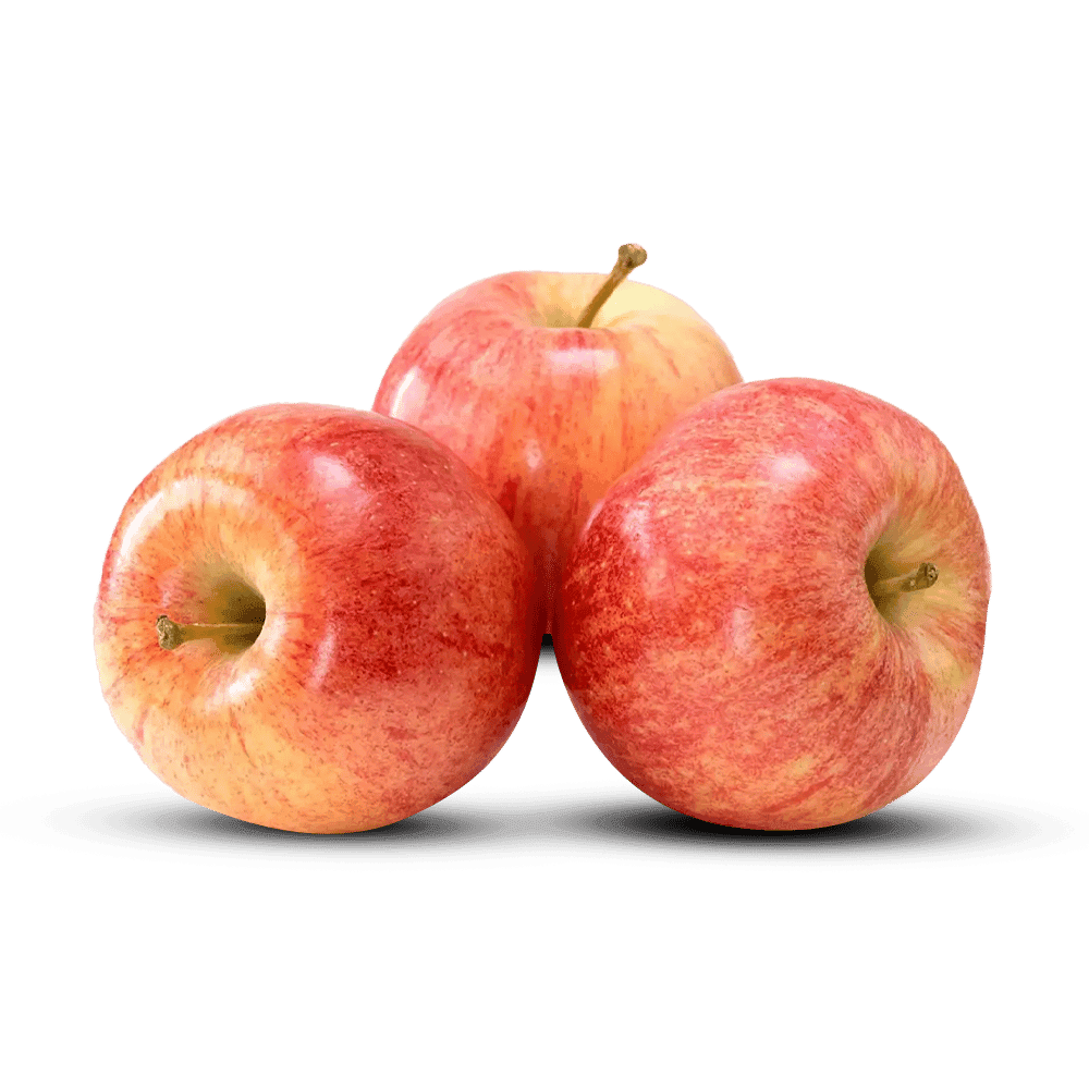 Apple Royal Gala (Premium) 1